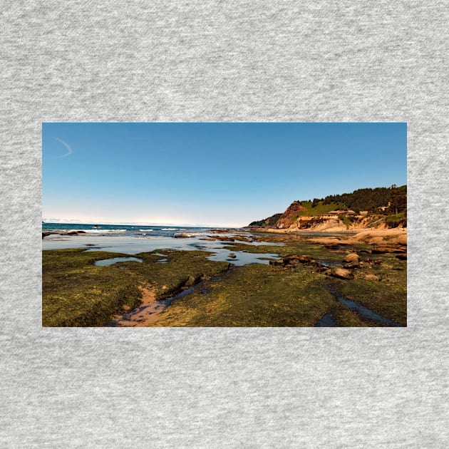 Otter Crest Beach Oregon by supernova23